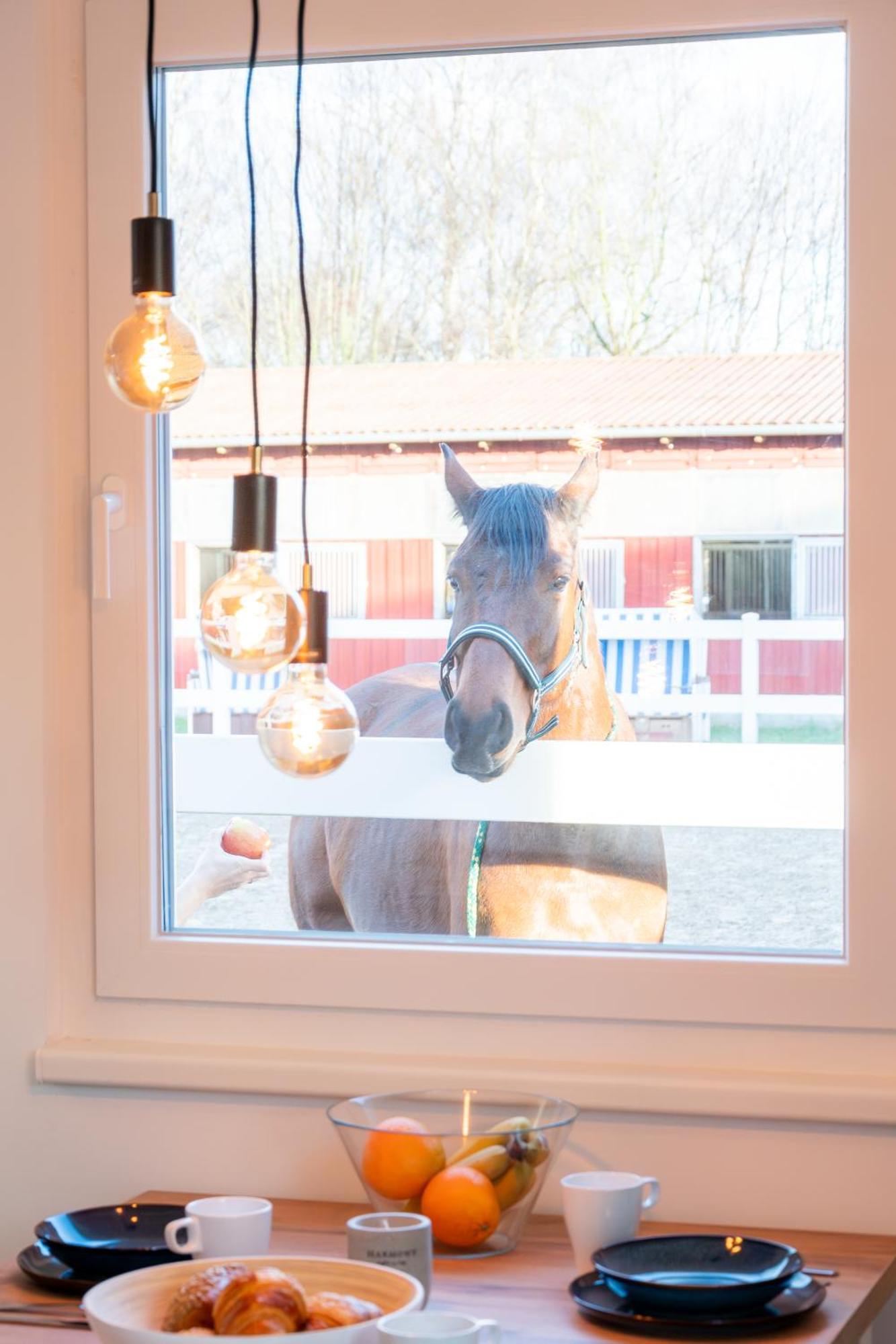 Ferienwohnungen Reiterhof Boltenhagen Esterno foto
